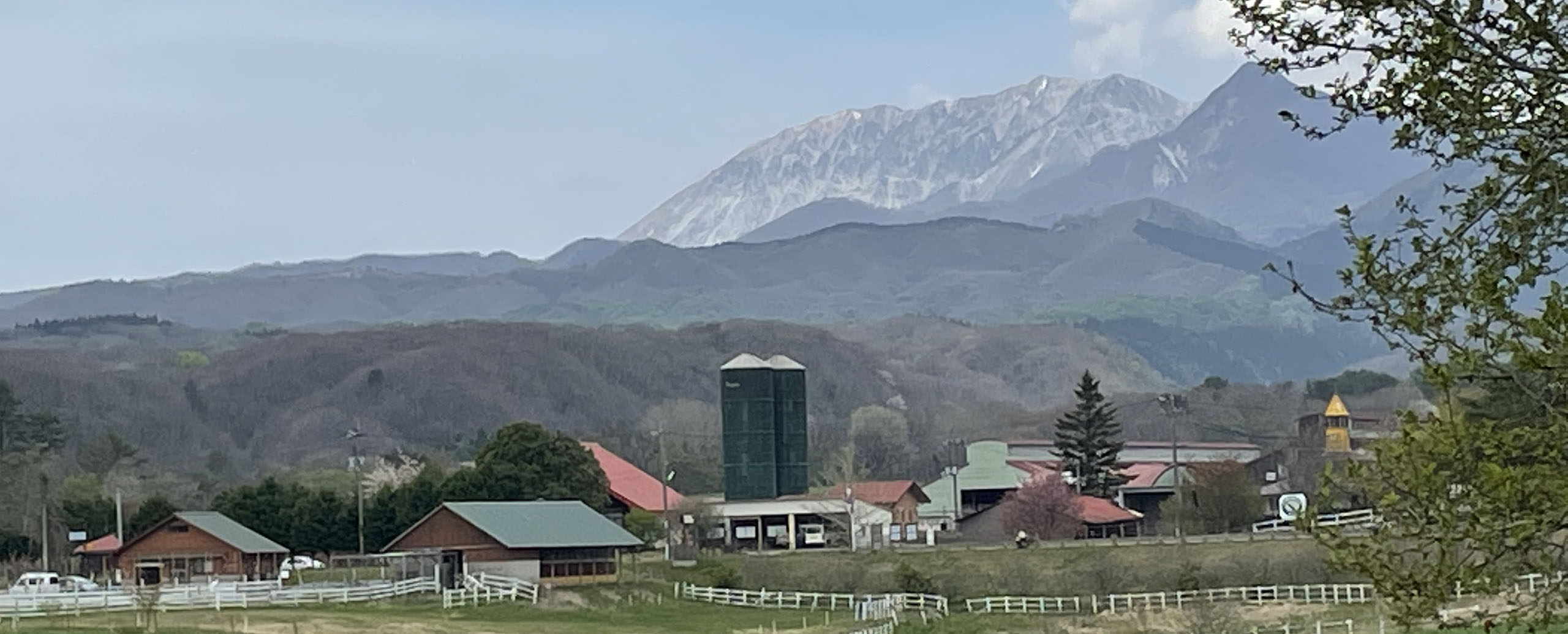 蒜山の牧場と大山